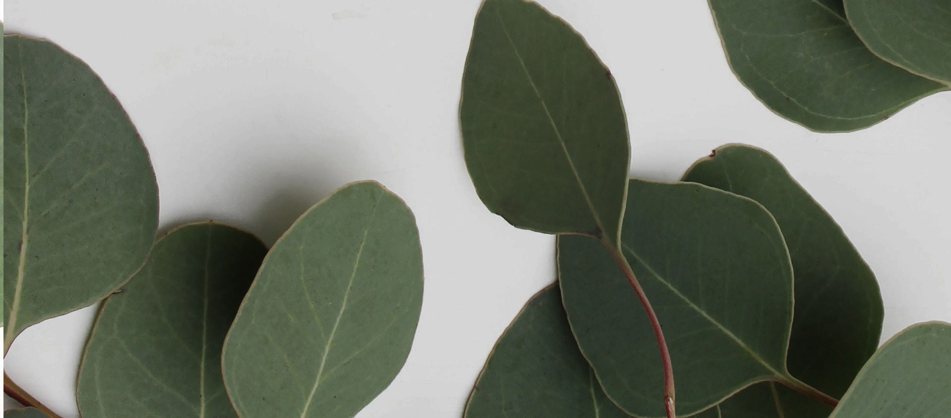 Взыскание ущерба от экологических правонарушений в Барде