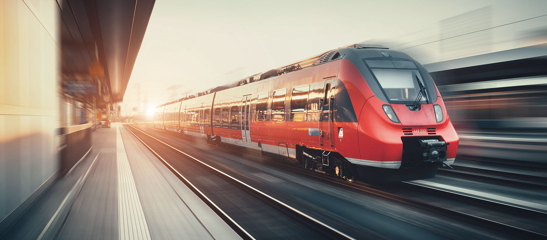 Услуги таможенного юриста в Барде